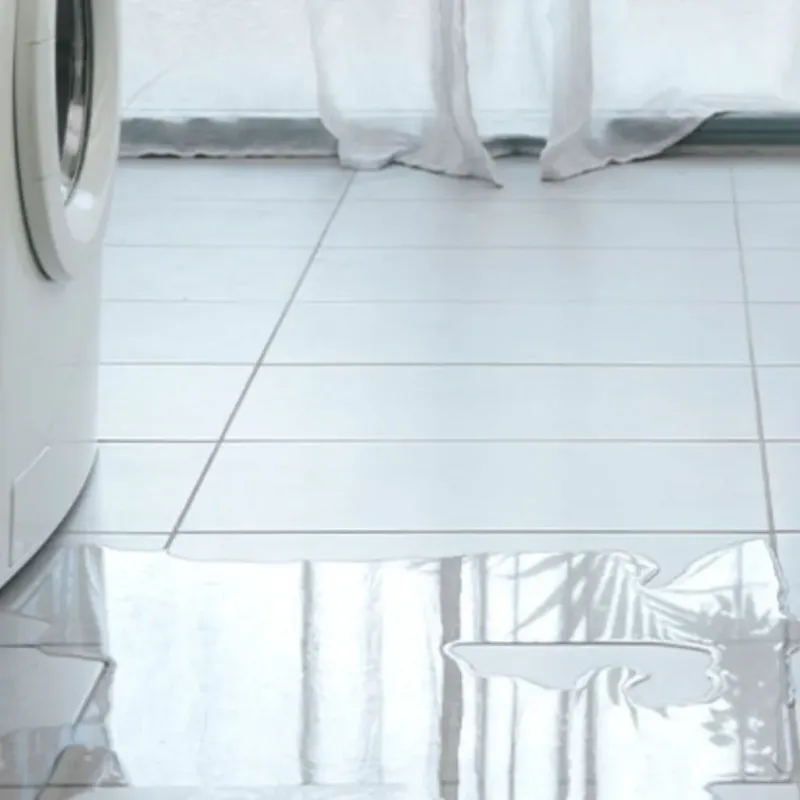 Appliance Leak Cleanup in Clearview, WA