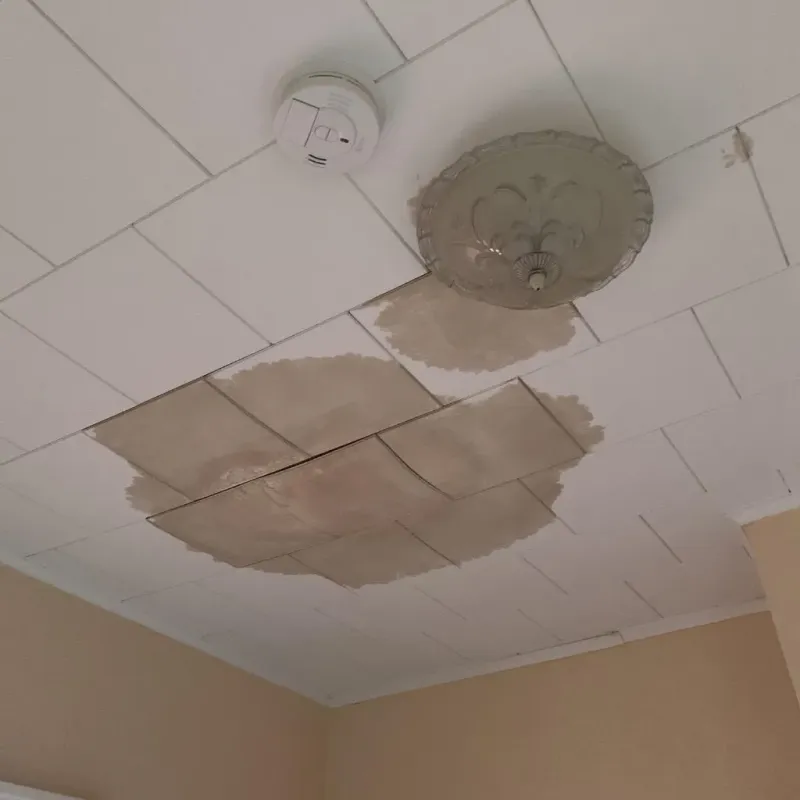Ceiling Water Damage Repair in Clearview, WA